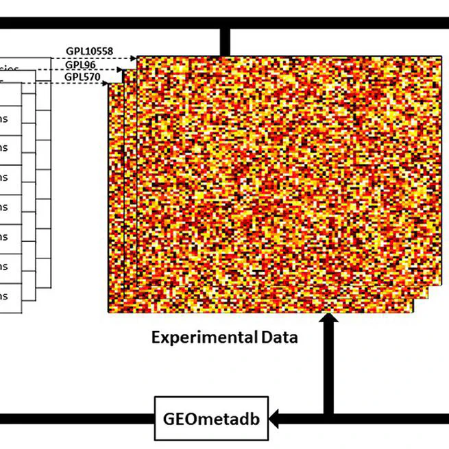 BioVDB: biological vector database for high-throughput gene expression meta-analysis